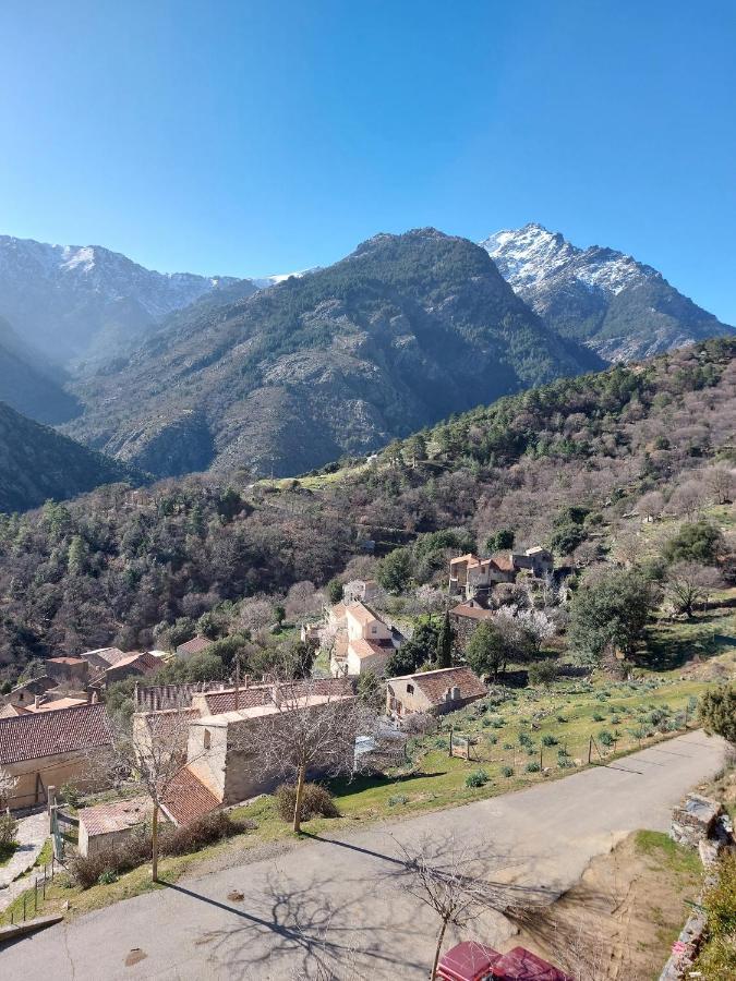 Residence E Cime Asco Locations De Studios Meubles Exteriér fotografie